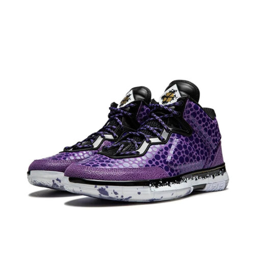 Stephen Curry with LiNing Way of Wade 1 Purple Stingray